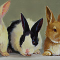 Bunny Babies