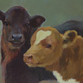Calf Pals