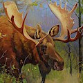 High Country Sentinel